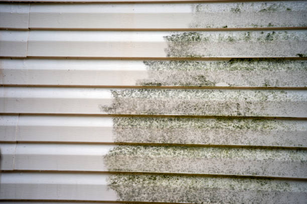 Best Brick Veneer Siding  in , LA